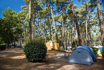 Parcelas camping tradicionales